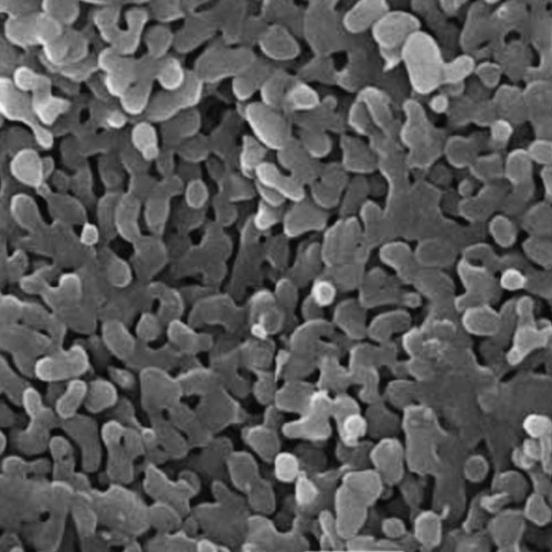 poudre oxide aluminum de tribofinition vu au microscope